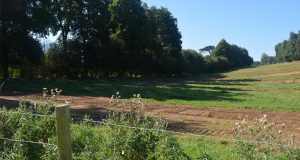 Distribution Gratuite d'Arbres - d'Arbustes et d'Arbustes à Fleurs