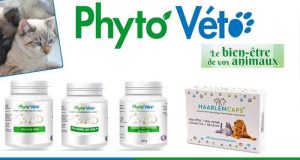 10 lots de 4 produits Phyto Véto offerts