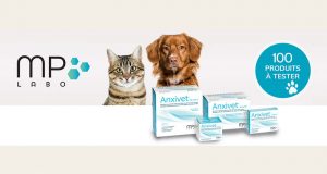 100 Produits Anxivet pour chiens et chats à tester