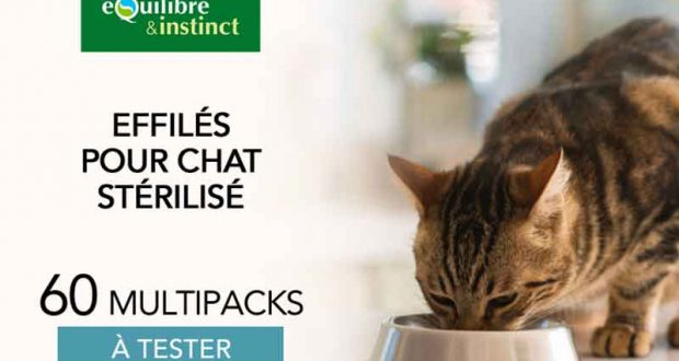 60 Multipack d'effilés pour chat stérilisé à tester