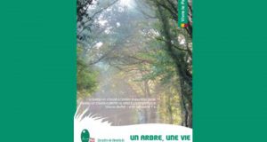 Distribution Gratuite d'Arbre ou 3 Arbustes