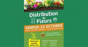 Distribution gratuite de fleurs vivaces ou bisanuelles