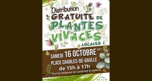 Distribution gratuite de plantes vivaces locales