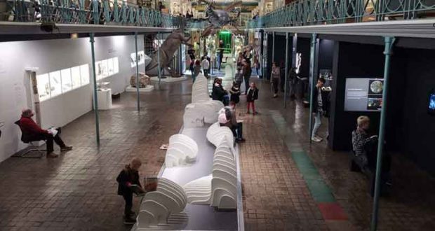 Entrée Gratuite au Musée d'Histoire Naturelle