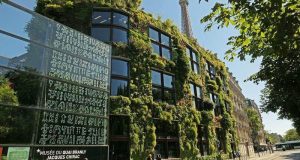 Séances de cinéma gratuites au Musée du Quai Branly-Jacques Chirac