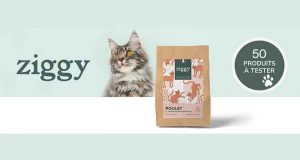 50 paquets de Croquettes pour chats stérilisés ZIGGY à tester
