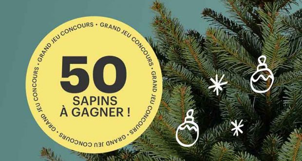 50 sapins de noël Nordmann offerts