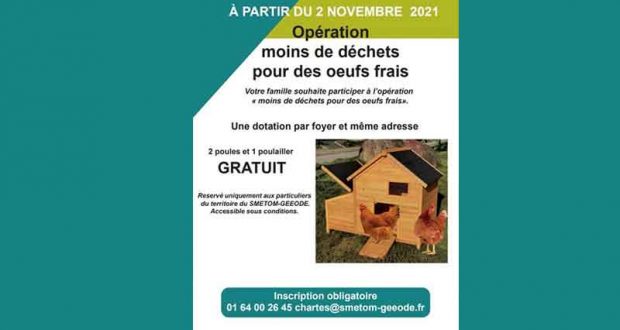 Distribution gratuite de 2 poules pondeuses + Poulailler gratuits