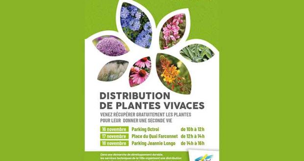 Distribution gratuite de plantes vivaces - Tournon-sur-Rhône
