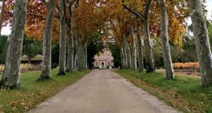 Visite offerte des Chateaux de Lastours