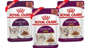 Échantillons Gratuits Gamme Humide SENSORY Royal Canin pour Chats