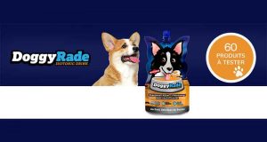 60 DoggyRade 250 ml pour chiens à tester