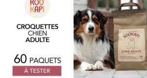 60 Paquets de Croquettes Kookapi Chien Adulte à tester