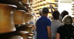 Visites gratuites guidées des caves d'affinage du fromage Beaufort