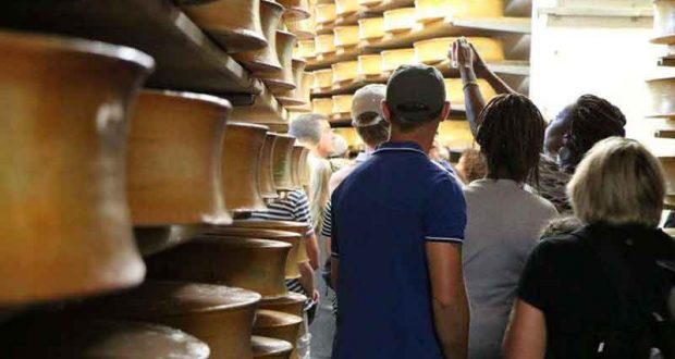 Visites gratuites guidées des caves d'affinage du fromage Beaufort