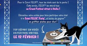 245 griffoirs platine pour chat offerts