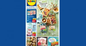 Catalogue Lidl du 19 janvier au 25 janvier 2022