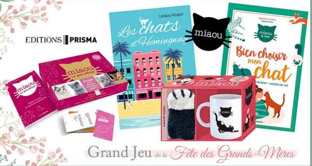 20 box "Miaou" offertes