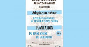 Distribution gratuite de nichoirs à chauve-souris - Saint-Loubès