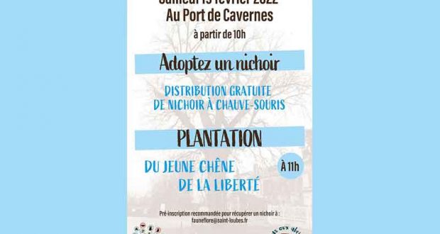 Distribution gratuite de nichoirs à chauve-souris - Saint-Loubès