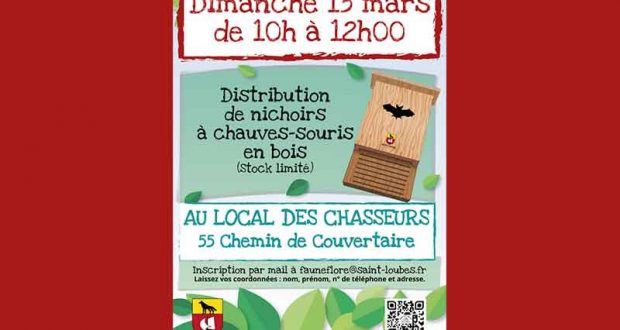 Distribution gratuite de nichoirs à chauve-souris en bois