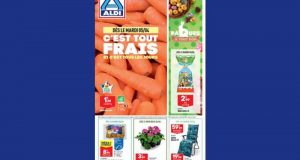 Catalogue Aldi du 5 avril au 11 avril 2022