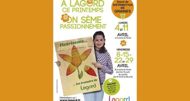 Distribution gratuite de sachets de graines pour fleurir vos pieds de murs