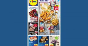 Catalogue Lidl du 11 mai au 17 mai 2022