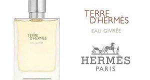 Échantillons parfums Terre d’Hermès Eau Givrée