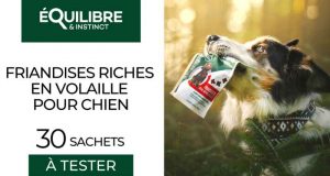 30 Sachets Friandises pour Chien Adulte EQUILIBRE & INSTINCT à tester