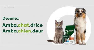 60 Produits Équilibre & instinct pour chien et chat à tester