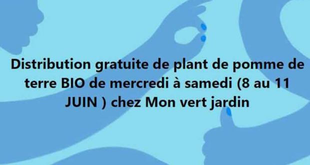 Distribution gratuite de plant de pomme de terre Bio