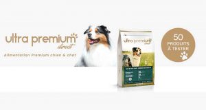 50 Sacs de Croquettes Ultra Premium Direct pour chiens à tester