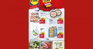 Catalogue Lidl du 03 août au 09 août 2022