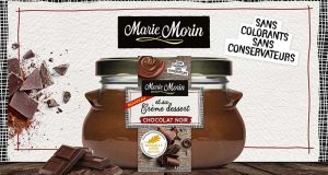 500 Crème dessert Marie Morin au chocolat à tester