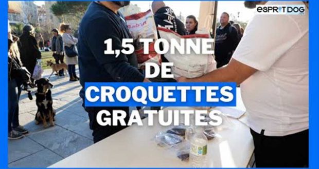 Distribution gratuite de 5 tonnes de croquettes