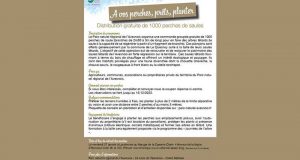 Distribution gratuite de 1000 perches de saules