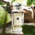 Échantillons gratuits de parfum Jo Malone London au choix