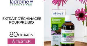 80 Extraits d'Échinacée pourpre bio Ladrôme à tester