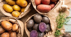 Distribution gratuite de 200kg de pommes de terre