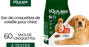 60 Sacs de croquettes de volaille pour chiot à tester