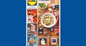 Catalogue Lidl du du 15 février au 21 février 2023