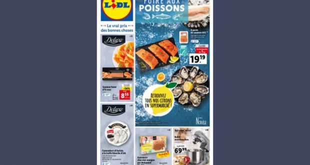 Catalogue Lidl du 29 mars au 04 avril 2023