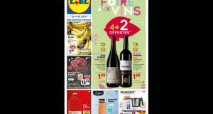 Catalogue Lidl du 8 mars au 14 mars 2023