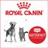 Croquettes ROYAL CANIN 100% Remboursé