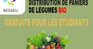 Distributions gratuites de paniers de légumes bio