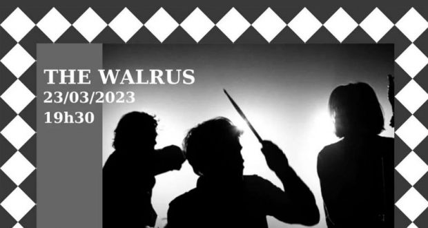 Entrée gratuite pour Mazingo - Concert en show case au Walrus