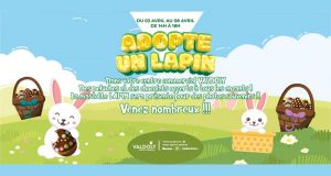 Peluche lapin et chocolats offerts gratuitement