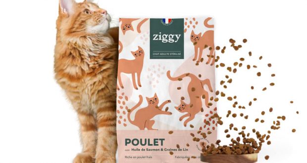 Échantillons gratuits de croquettes pour chat Ziggy