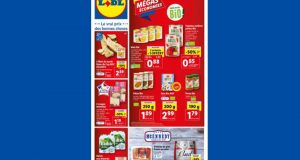 Catalogue Lidl du 10 mai au 16 mai 2023